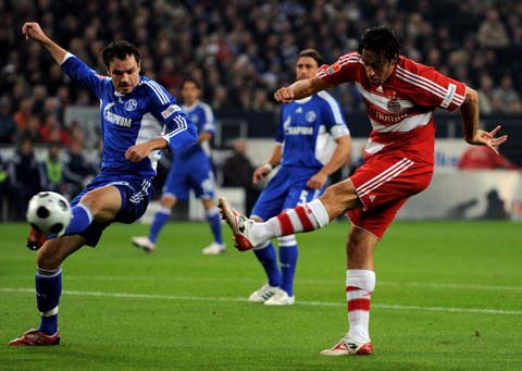 家贝蒂斯的 家贝蒂斯的