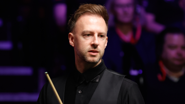 球迷的比例 球迷的比例